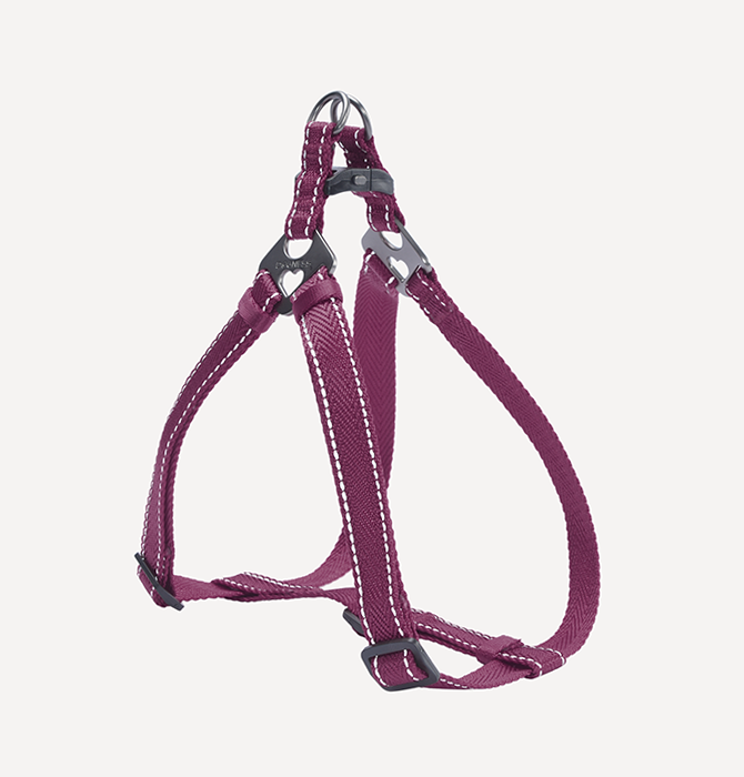 Dogness harness on sale